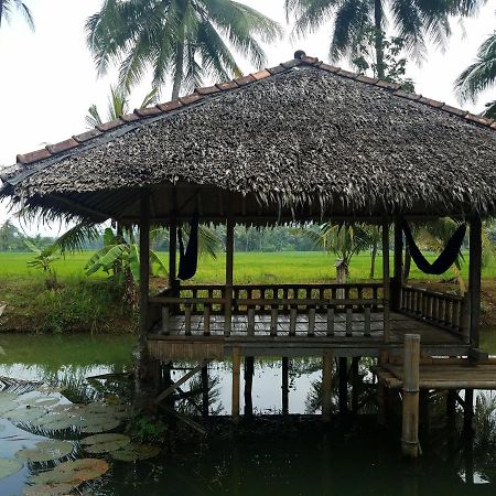 Bale'Ku Hotel Pangandaran Buitenkant foto