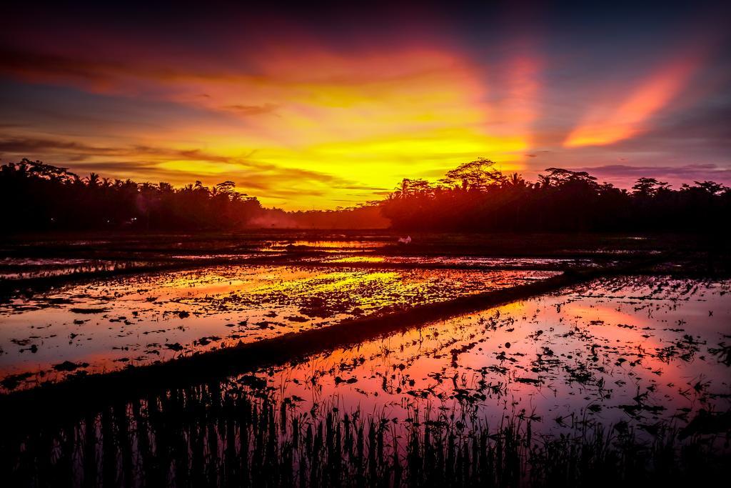 Bale'Ku Hotel Pangandaran Buitenkant foto